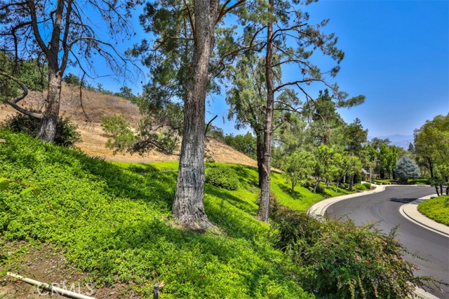 Detail Gallery Image 59 of 67 For 1921 Avenida Monte Vista, San Dimas,  CA 91773 - 3 Beds | 2 Baths