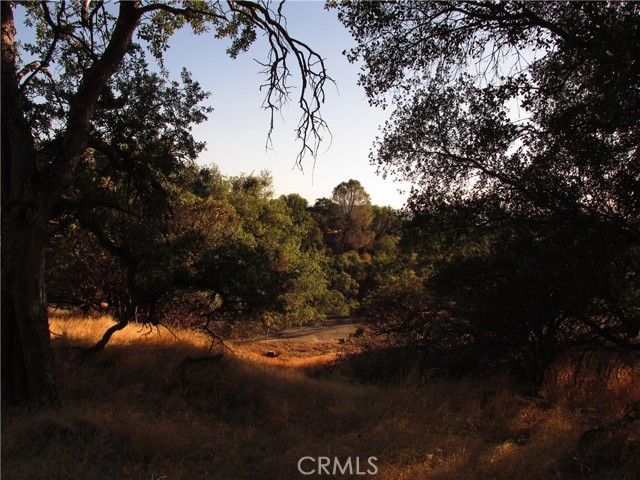 2 Old Oaks Court, North Fork, California 93643, ,Land,For Sale,2 Old Oaks Court,CRFR23180860