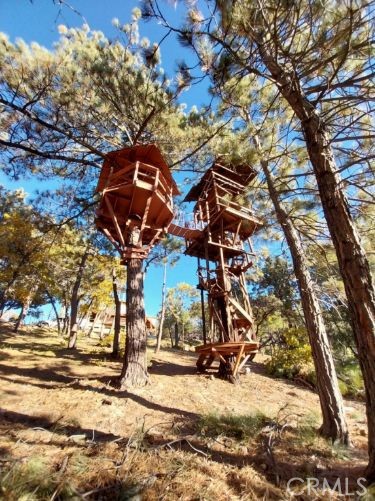 Detail Gallery Image 54 of 67 For 161 N Trails End Rd, Green Valley Lake,  CA 92341 - 3 Beds | 3 Baths