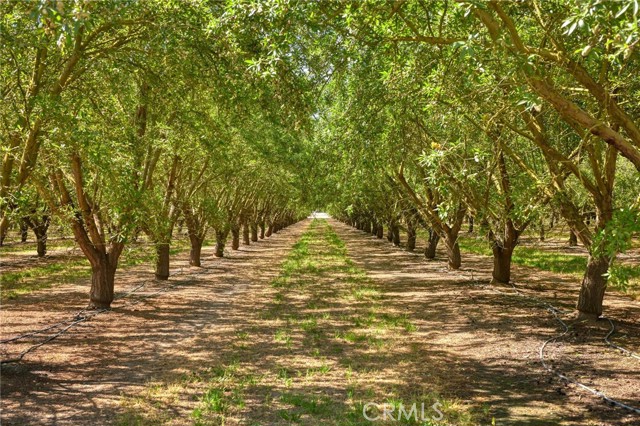 Detail Gallery Image 29 of 30 For 1431 Clark Rd, Modesto,  CA 95358 - 3 Beds | 2 Baths
