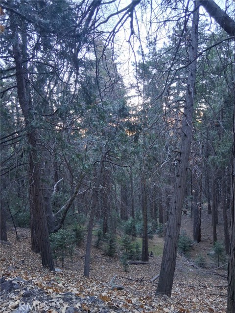 Detail Gallery Image 1 of 2 For 0 Reservoir, Cedarpines Park,  CA 92322 - – Beds | – Baths