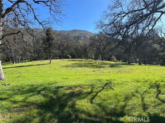 Detail Gallery Image 12 of 32 For 471 Ac - Hwy 49n, Mariposa,  CA 95338 - – Beds | – Baths