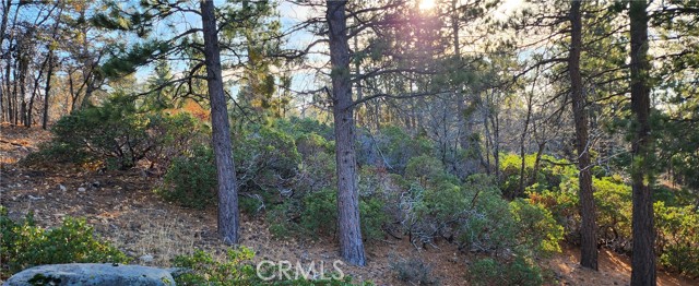 Image 3 of 10 For 0 Crest Drive