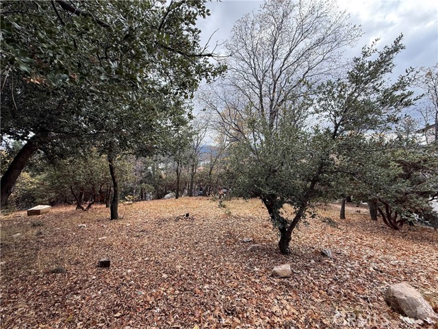 Detail Gallery Image 7 of 7 For 0 Yosemite Dr, Lake Arrowhead,  CA 92352 - – Beds | – Baths