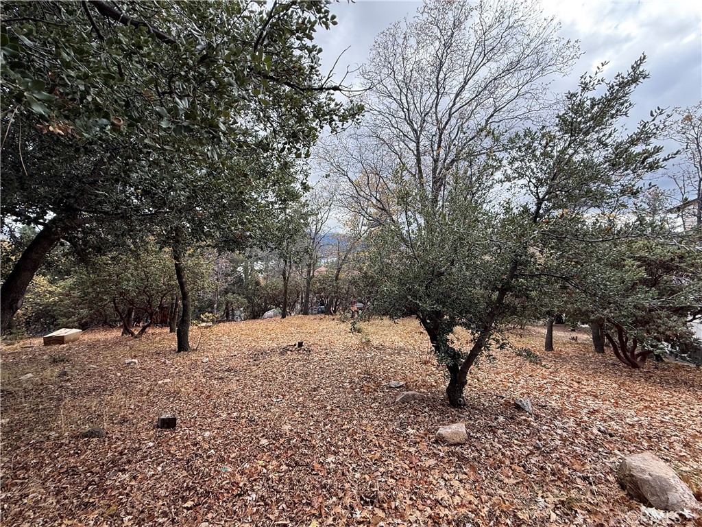 MLS #IG25264891 image #6