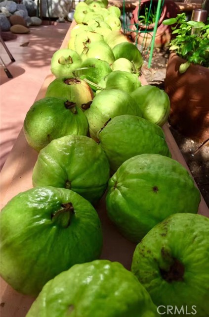 Detail Gallery Image 26 of 39 For Address Is Not Disclosed, Gardena,  CA 90249 - 5 Beds | 4 Baths