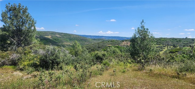 Front Image Thumbnail for CRSN26100398