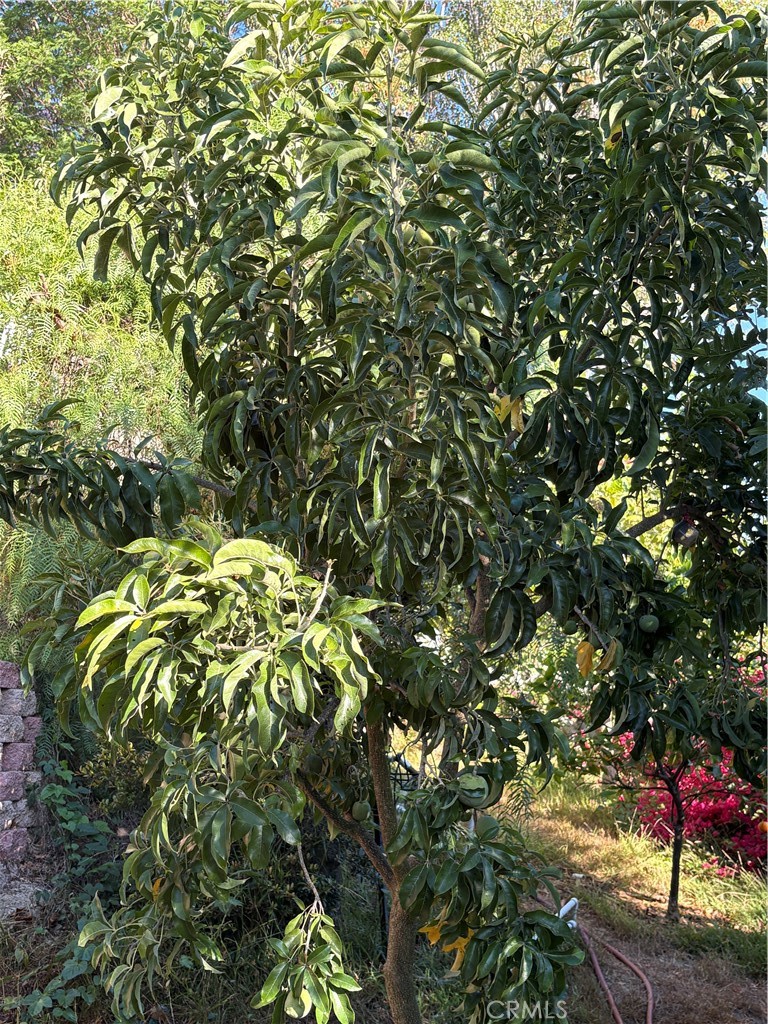 https://media.crmls.org/medias/2ecd91a7-c760-4518-beec-55012bf02074.jpg?preset=X-Large