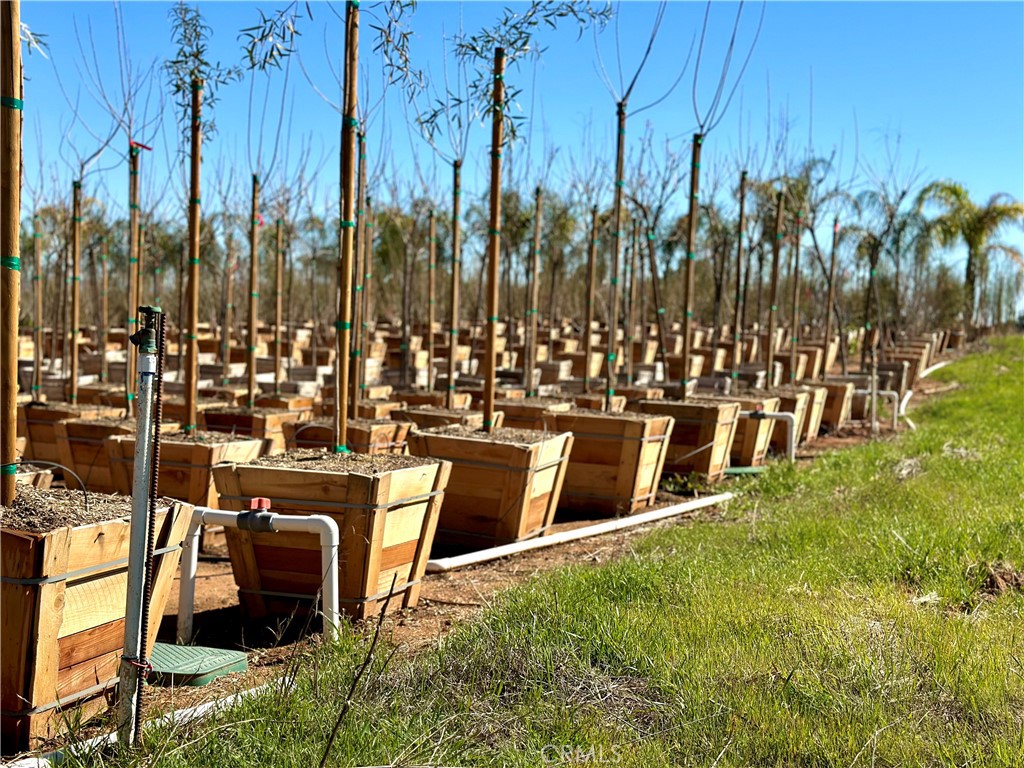 MLS #IV25035655 image #21