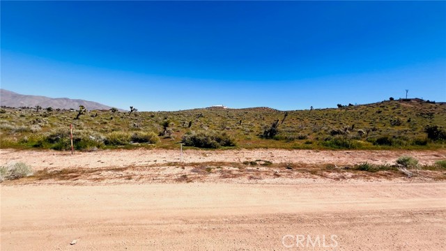 Detail Gallery Image 5 of 15 For 10177 Cerra Vista St, Apple Valley,  CA 92308 - – Beds | – Baths