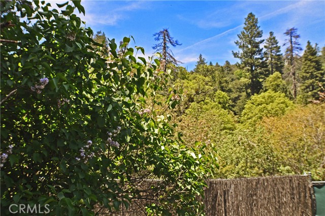 Detail Gallery Image 8 of 31 For 22590 Waters Dr, Crestline,  CA 92325 - 2 Beds | 1 Baths