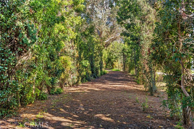 Detail Gallery Image 18 of 37 For 713 Avenida Majorca #B, Laguna Woods,  CA 92637 - 2 Beds | 1/1 Baths