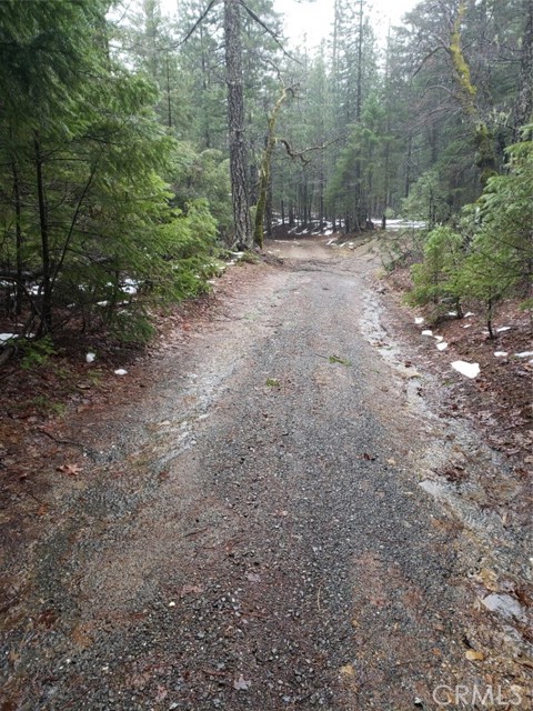 0 Burr Valley Road, Bridgeville, CA, 95526 0 Burr Valley Road, Bridgeville, CA, 95526