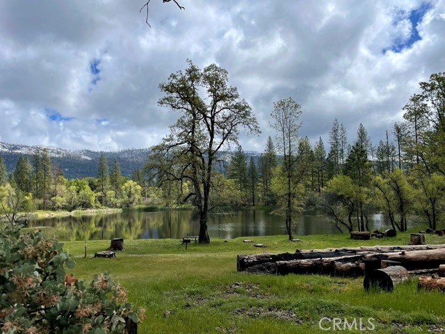 Lushmeadows Association/Dawn Lake