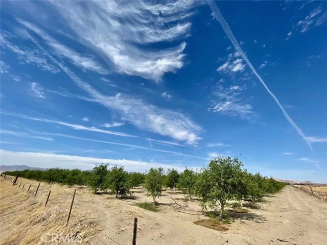 Detail Gallery Image 8 of 67 For 34034 Wilshire Rd, Lucerne Valley,  CA 92356 - 2 Beds | 1 Baths