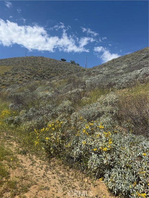 Front Image Thumbnail for CRSW26043663