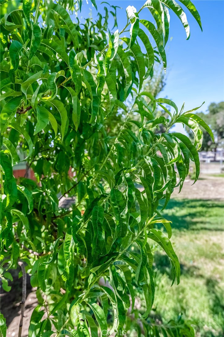 https://media.crmls.org/medias/2ee35309-f804-4701-aaf7-565fff0385d0.jpg?preset=X-Large