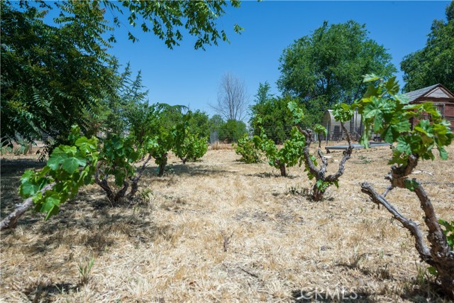 9892 River Road, San Miguel CA: https://media.crmls.org/medias/2ee75544-36bc-4d5c-af85-9322c010b8ea.jpg