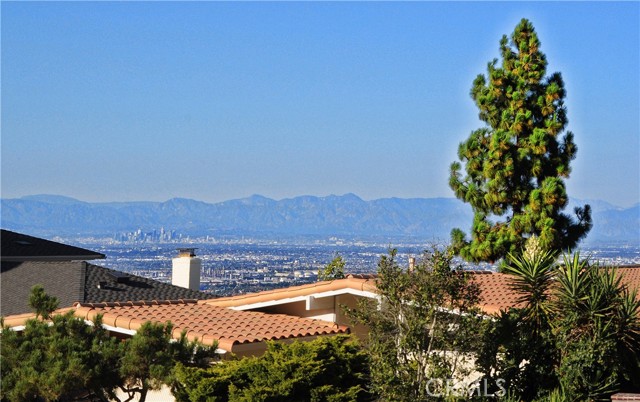 View from Covered Front Porch