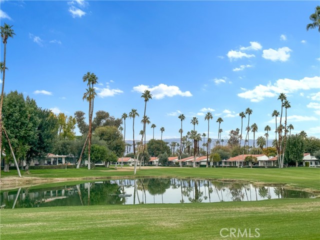 Front Image Thumbnail for CROC26069185