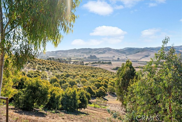 Detail Gallery Image 51 of 73 For 3515 Turri Rd, San Luis Obispo,  CA 93405 - 5 Beds | 5/1 Baths