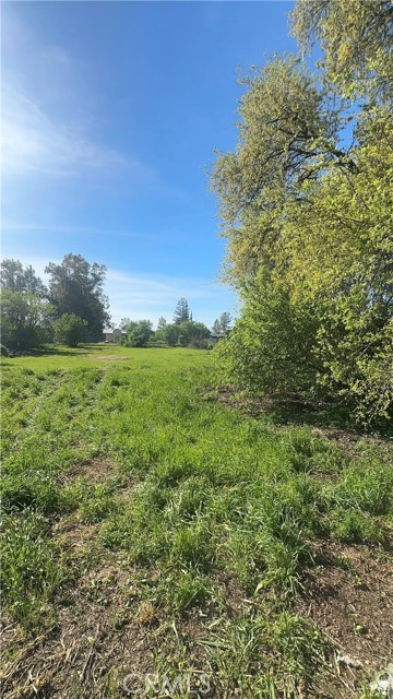 Detail Gallery Image 56 of 60 For 736 8th, Orland,  CA 95963 - 5 Beds | 2 Baths