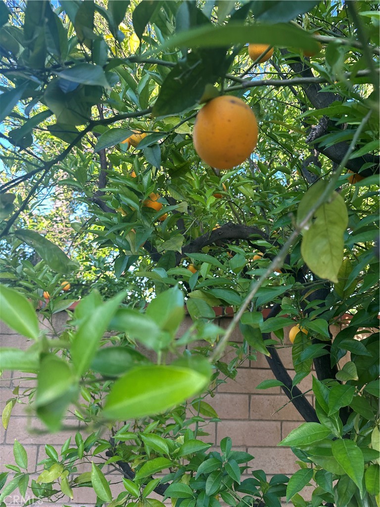 https://media.crmls.org/medias/2eee90a2-7146-413b-81bc-7678b2350283.jpg?preset=X-Large