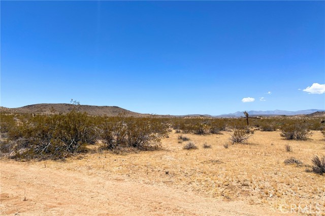 Detail Gallery Image 9 of 10 For 0 Willie Way, Joshua Tree,  CA 92252 - – Beds | – Baths