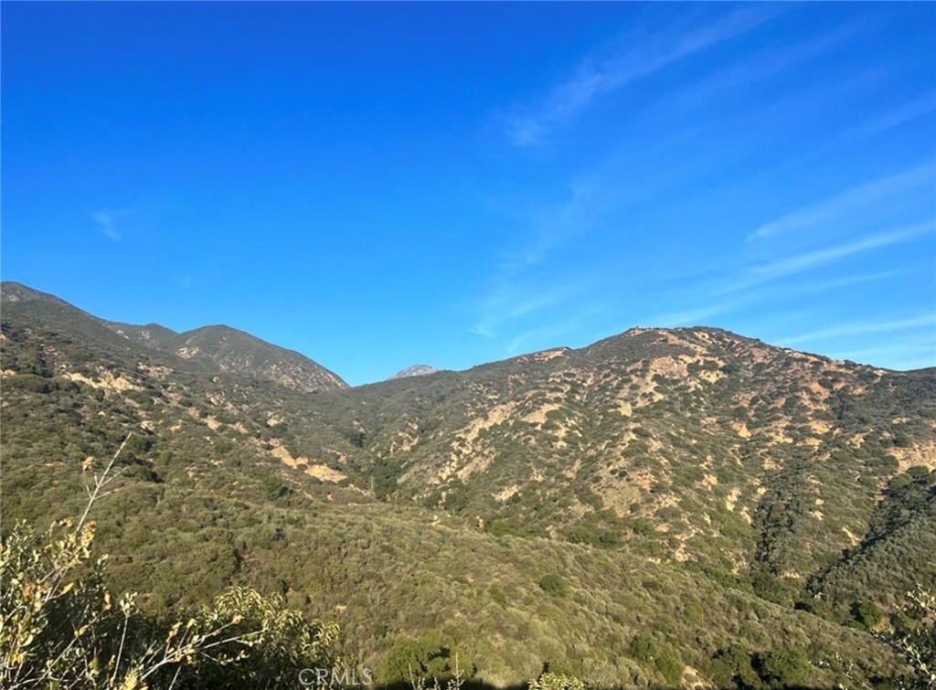 MLS #OC25092911 img 2