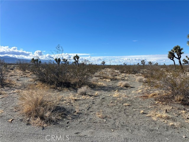 Front Image Thumbnail for CRHD26070551