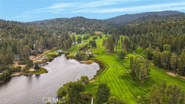 875 Brentwood Drive, Lake Arrowhead CA: https://media.crmls.org/medias/2ef72ec5-391b-4af5-94d6-2831c722e7ad.jpg
