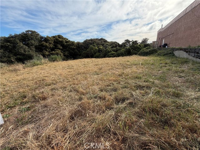 Front Image Thumbnail for CRSC26062573