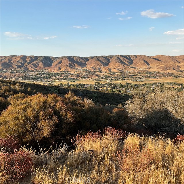 Detail Gallery Image 18 of 36 For 9301 Lost Valley Ranch Rd, Leona Valley,  CA 93551 - – Beds | – Baths