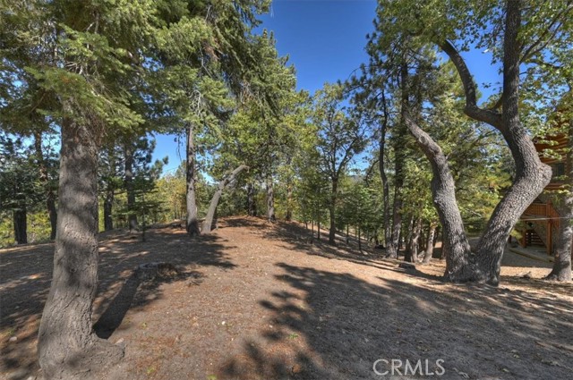 32412 Snow Cactus Court, Running Springs, CA 92382