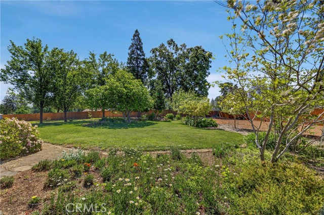 6153 Twin, Paradise CA: https://media.crmls.org/medias/2f00eec2-83e0-417e-809c-e6a0ad4b7782.jpg