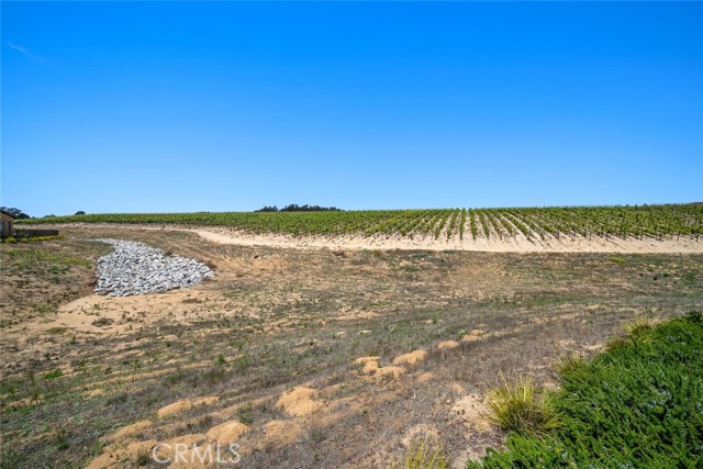 1330 Riley Lane, Nipomo CA: https://media.crmls.org/medias/2f04bc49-18b3-4a4c-8449-6ccb40163e20.jpg