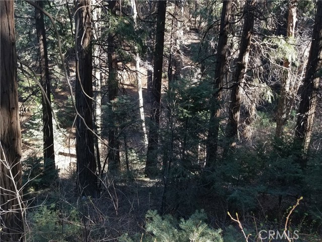 Image 2 for 0 Burnt Mill Canyon Rd, Cedarpines Park, CA 92322