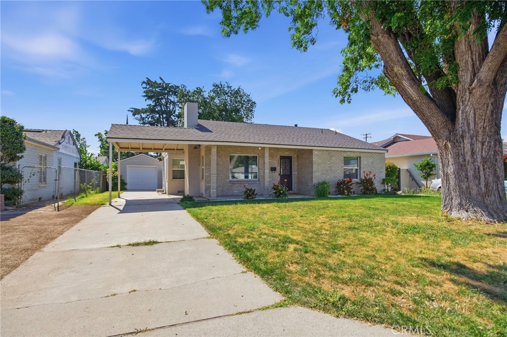 337 Camellia