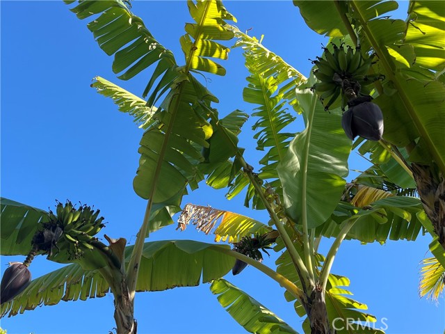 Detail Gallery Image 13 of 15 For 4862 Sevilla Way, Carlsbad,  CA 92008 - 4 Beds | 3 Baths