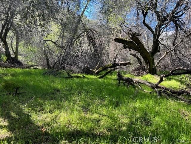 Image 2 of 10 For 45580 Sierra Drive