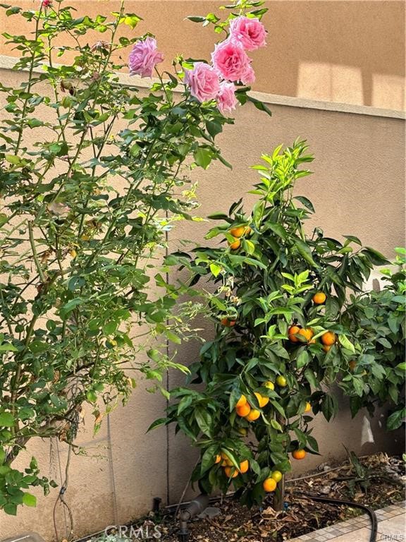 Detail Gallery Image 42 of 56 For 37 Peony, Irvine,  CA 92618 - 3 Beds | 2/1 Baths