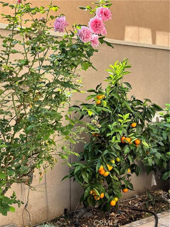 https://media.crmls.org/medias/2f2064af-39d7-462f-9c81-d86d60756c6a.jpg?preset=X-Large