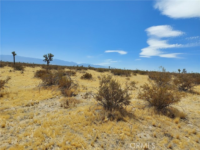 Detail Gallery Image 7 of 13 For 0 Crippen Parcel #3210-091-01 Rd, Adelanto,  CA 92301 - – Beds | – Baths