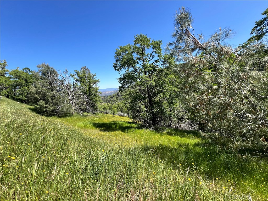MLS #MP24086965 image #3