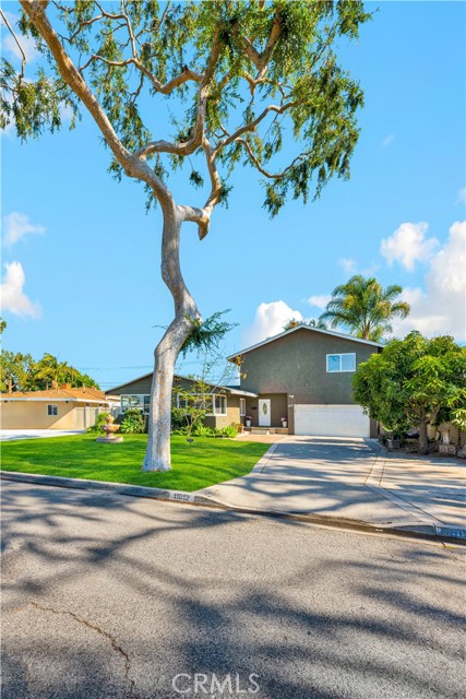 11912 Edgewood