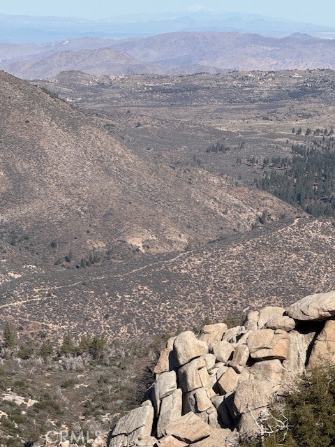 Front Image Thumbnail for CRIV25274152