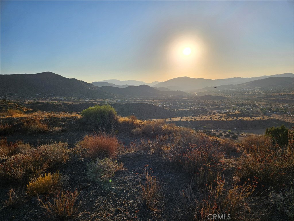 MLS #DW25180755 image #6