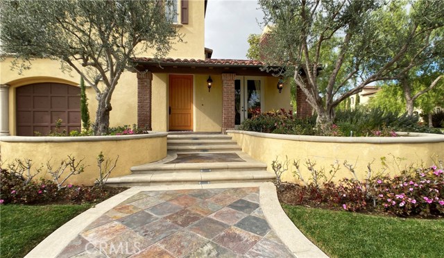 20 Coastal Oak