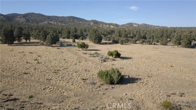 16469 Curtis Trail, Frazier Park CA: https://media.crmls.org/medias/2f2e8eae-a7b9-46de-805c-4cd6996ea9f1.jpg