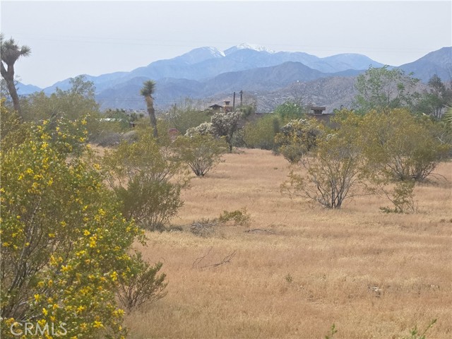 Detail Gallery Image 4 of 6 For 7414 Alaba, Yucca Valley,  CA 92284 - – Beds | – Baths